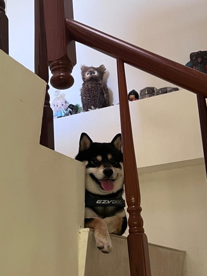 Futian B&B 吉安郷 エクステリア 写真